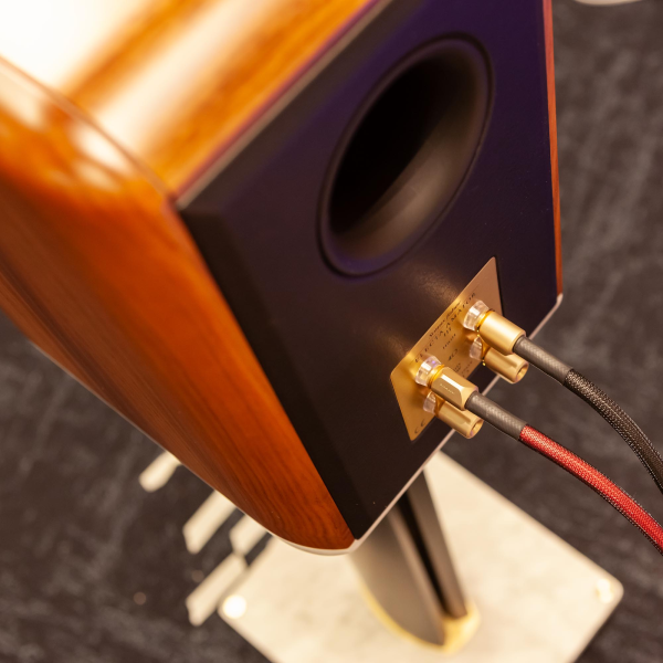 Sonus Faber Electa Amator 3 Sonus Faber Electa Amator 3 - Bild 4 av 4