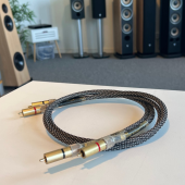 SCAD RCA kablar - Beg