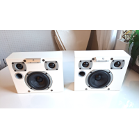 Audiovector K-X high-end vägghögtalare