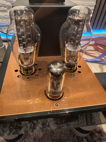 Audio note conquest monobloc 300b Audio note conquest monobloc 300b - Bild 4 av 6