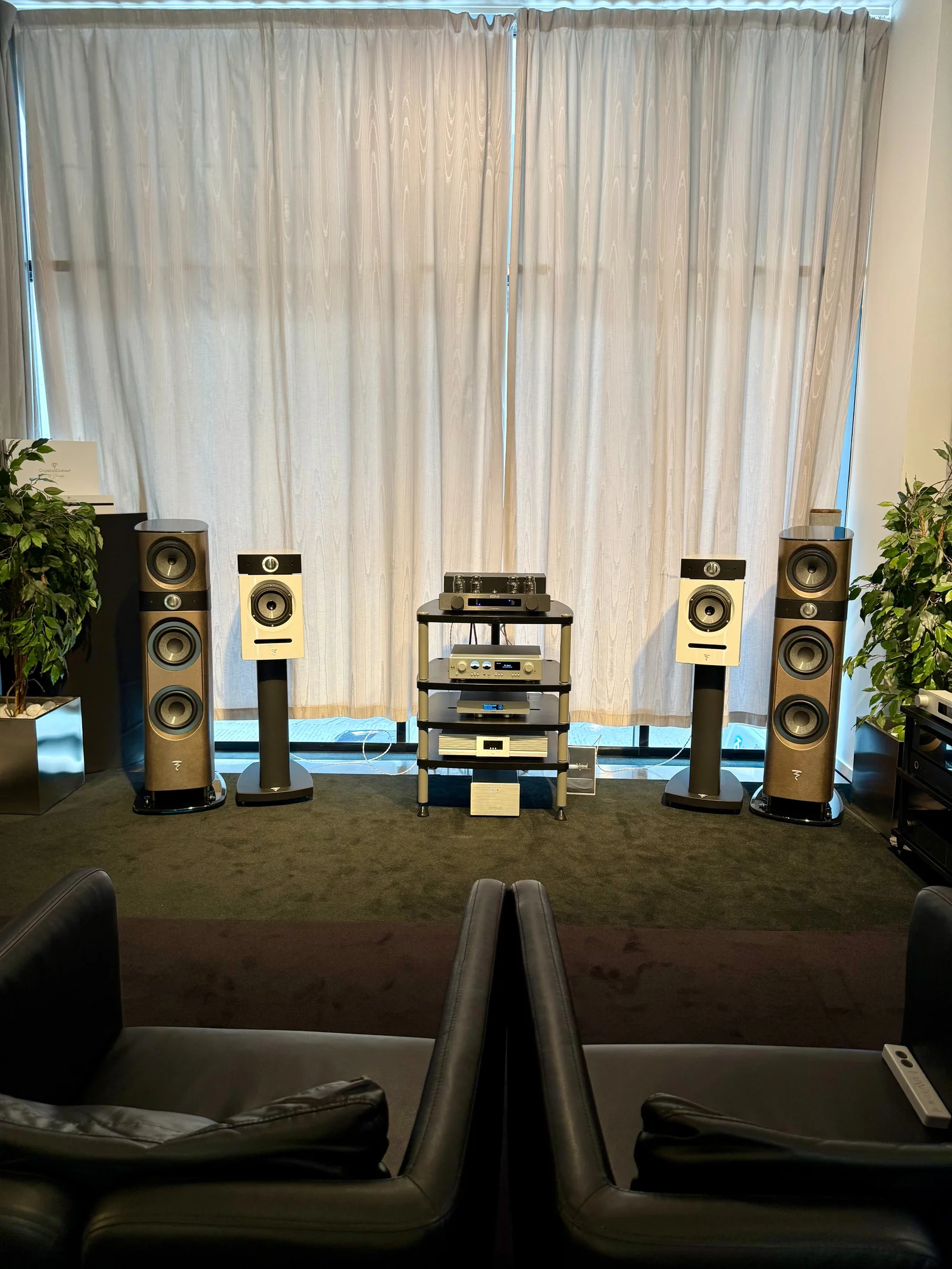 Focal Sopra No2 Limited edition - Brown Concrete