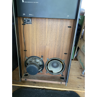 Audio Pro B2-100