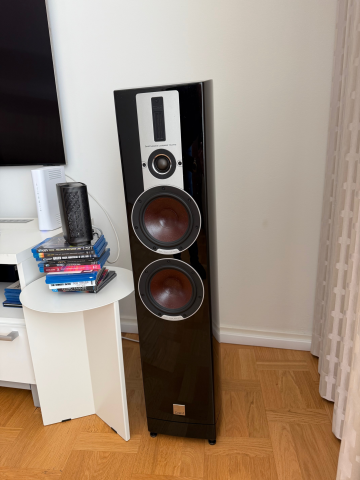 Dali Epicon 6