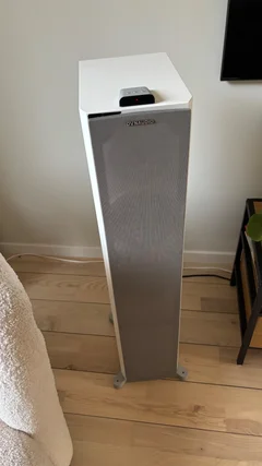Dynaudio XEO 6
