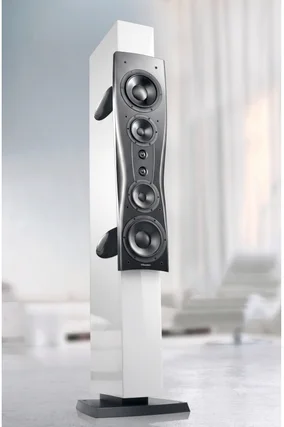 Dynaudio Confidence Platinum C4 | Golvhögtalare | SÅLDA