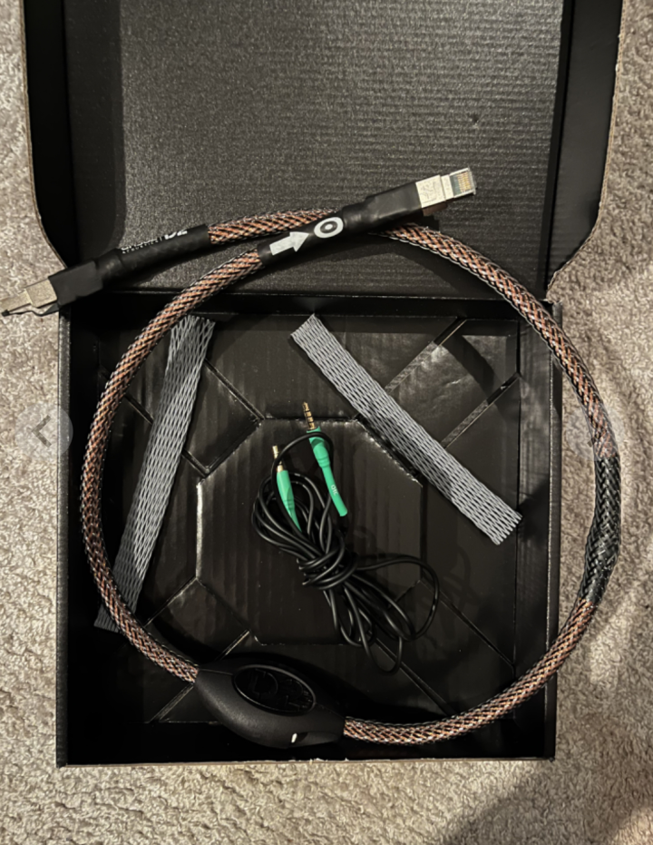 Ansuz D2 Ethernet Streaming cable