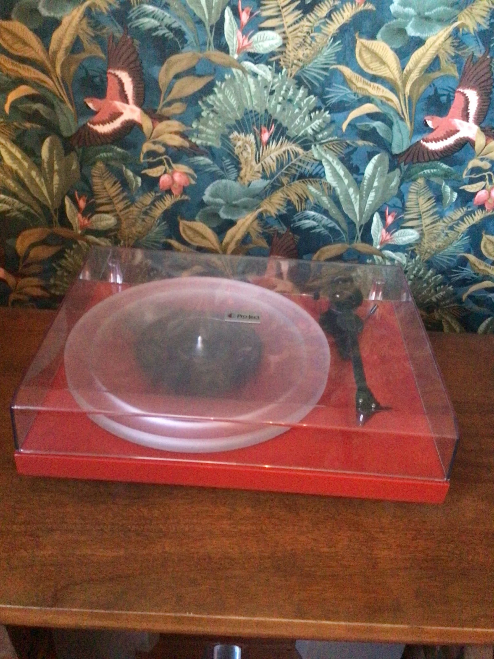 Pro-ject Debut Carbon Esprit Pro-ject Debut Carbon Esprit - Bild 1 av 2
