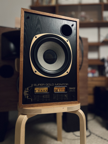 Tannoy SGM-10b