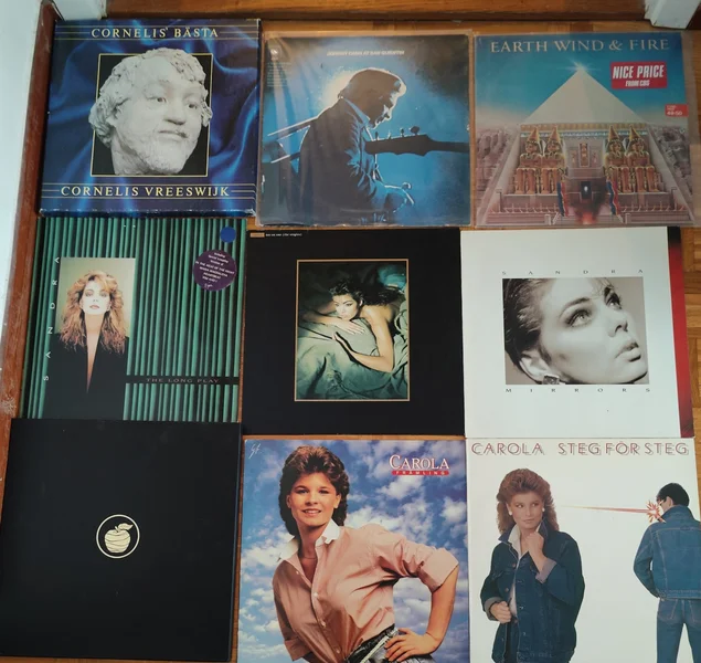Vinylskivor s&auml;ljes i v&auml;ldigt gott skick - Bild 14 av 37