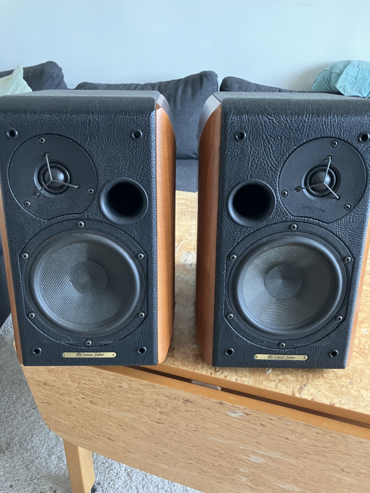 Sonus Faber Concerto Home