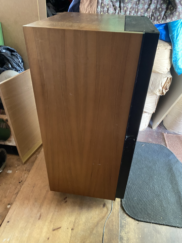 Audio Pro B2-100