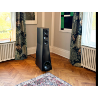 YG Acoustics Sonja 2.2i