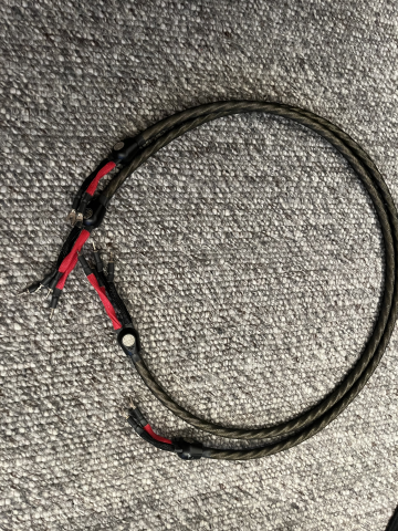 Wireworld Gold 7 , 2m bi-wire