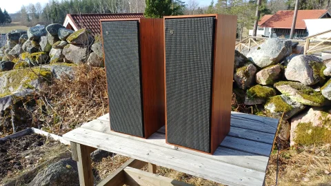 B&O Beovox 1000