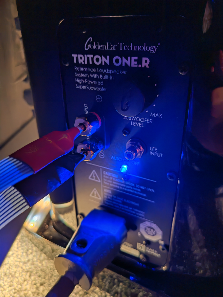 GoldenEar Triton One.R