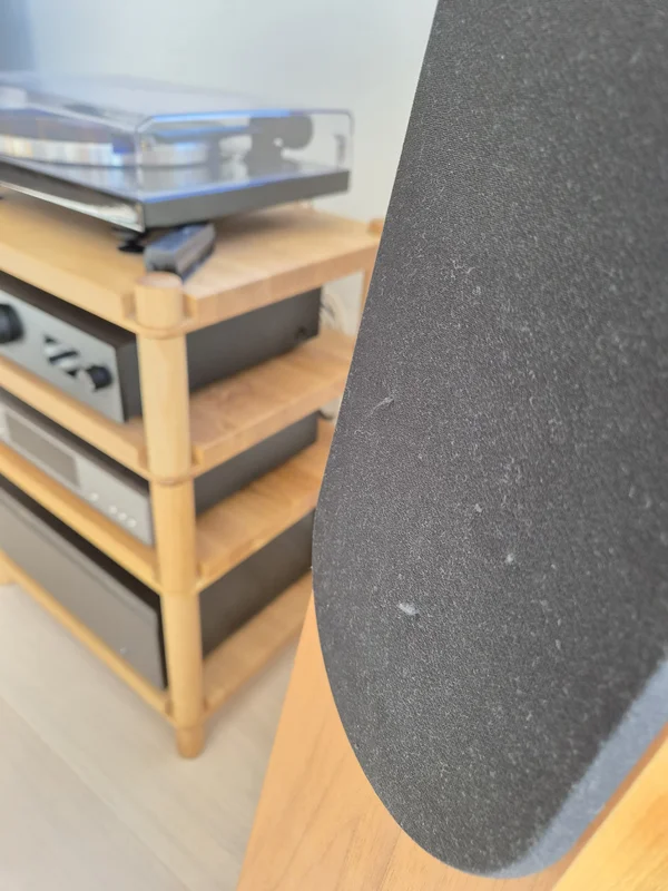 Audio Physic Scorpio 25 Plus - Bild 3 av 9