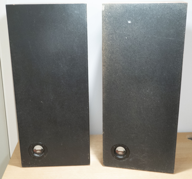 Celestion Ditton 25 - En defekt woofer - Bild 4 av 6