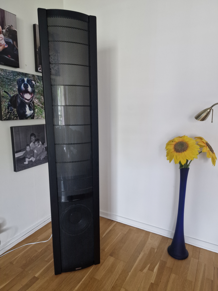 Martin Logan Sequel II.