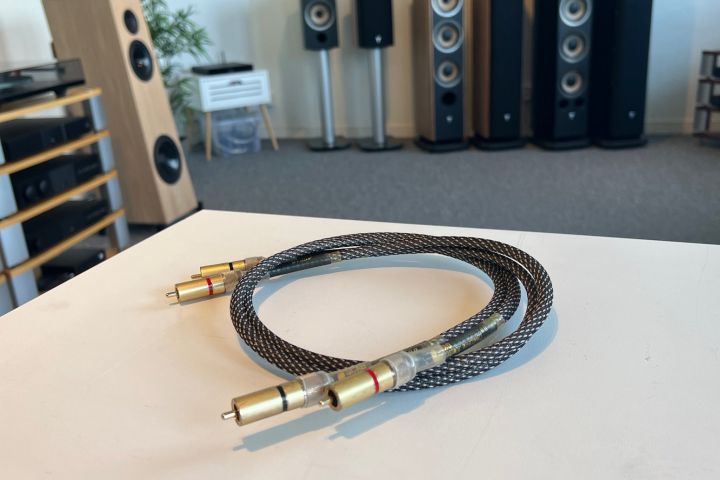 SCAD RCA kablar - Beg