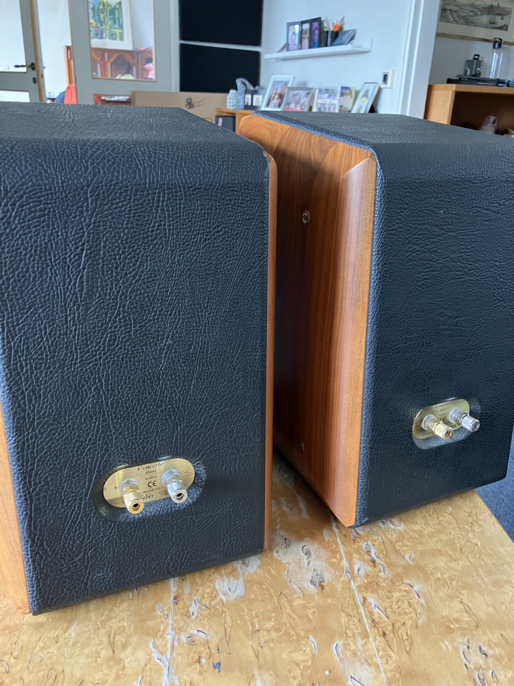 Sonus Faber Concerto Home