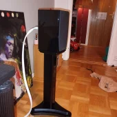 Spendor sa1 - Bild 1 av 1