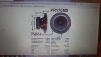 Audax PR 17 Omo 17cm professional midrange