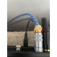 DH Labs Revelation RCA 1 meter