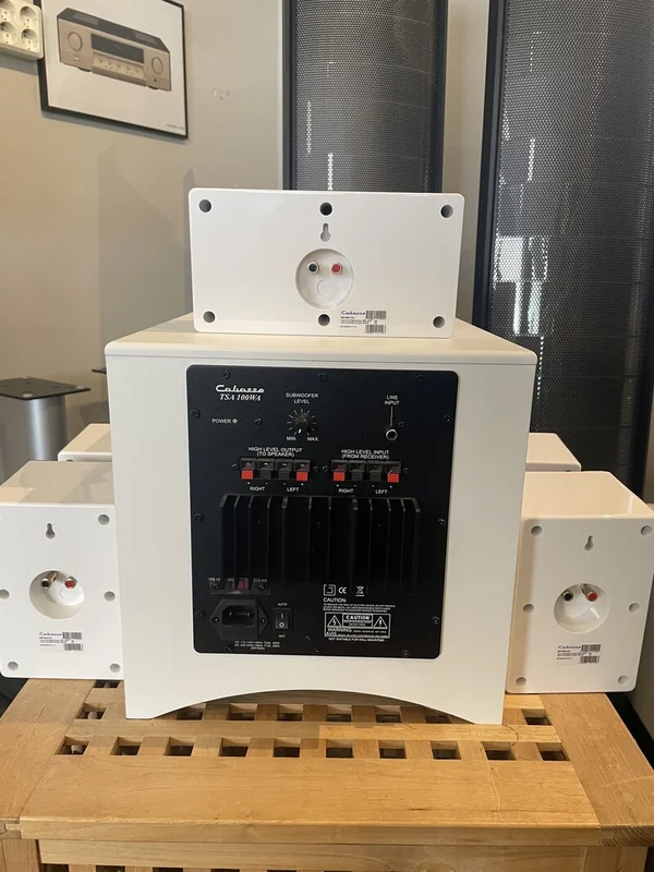 Cabasse Fidji 5.1 demoex - Bild 2 av 2