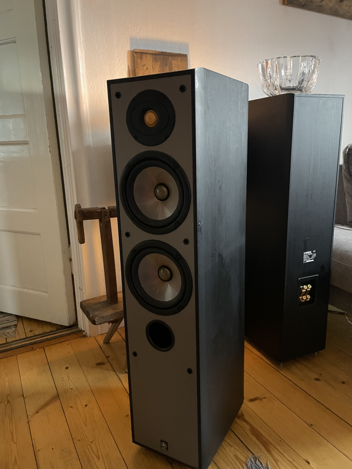 Yamaha NS-300 