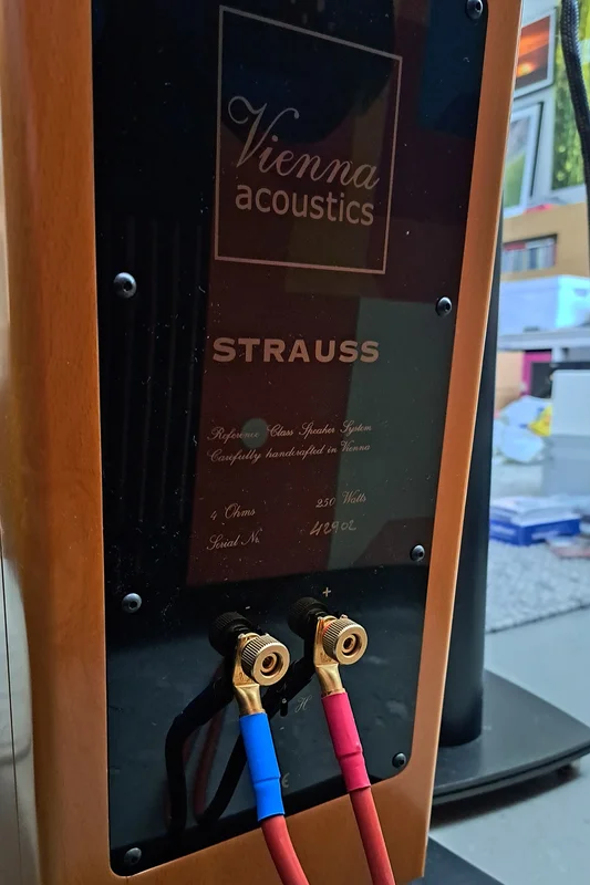 Vienna Acoustics Strauss golvh&ouml;gtalare till salu - Bild 6 av 8