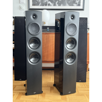 Paradigm Premier 800f