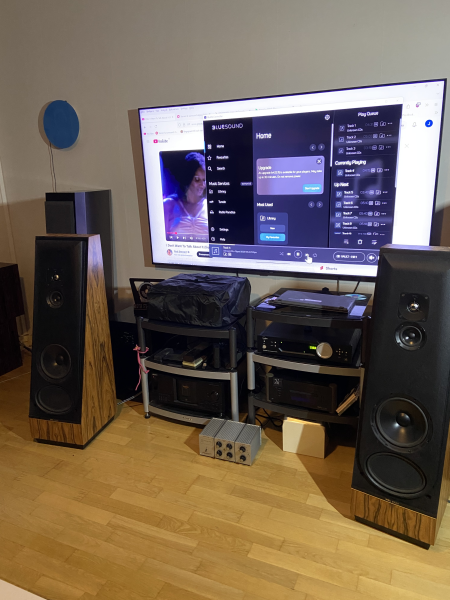 Thiel CS2.2 Thiel CS2.2 - Bild 4 av 4