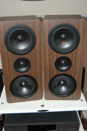 Acoustic Energy AE 105 ** Demo-par **
