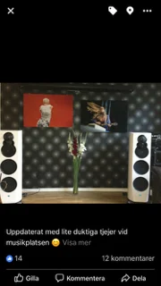 Linn Klimax 350 Exakt Katalyst - Bild 2 av 3