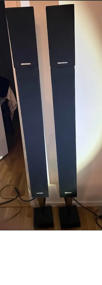 AUDIOWINGS 2 x Pelare och 2 x Diskant liknande BEOLab 28 gammal modell