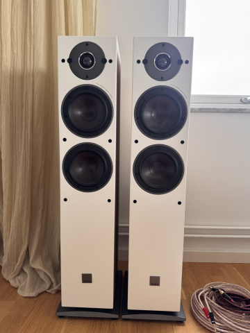 Dali Oberon 5