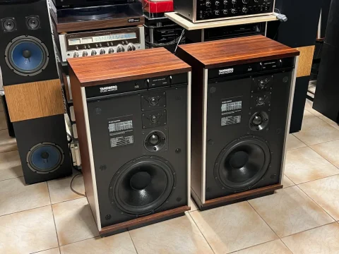 Tandberg Studio Monitor - köpes Tandberg Studio Monitor - köpes