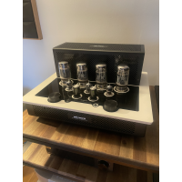 Audio research i/50 - RIAA Modul
