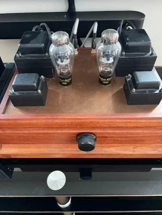 Border Patrol 300B forstærker