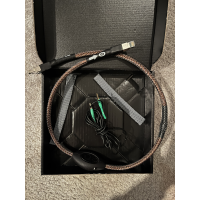 Ansuz D2 Ethernet streaming cable 