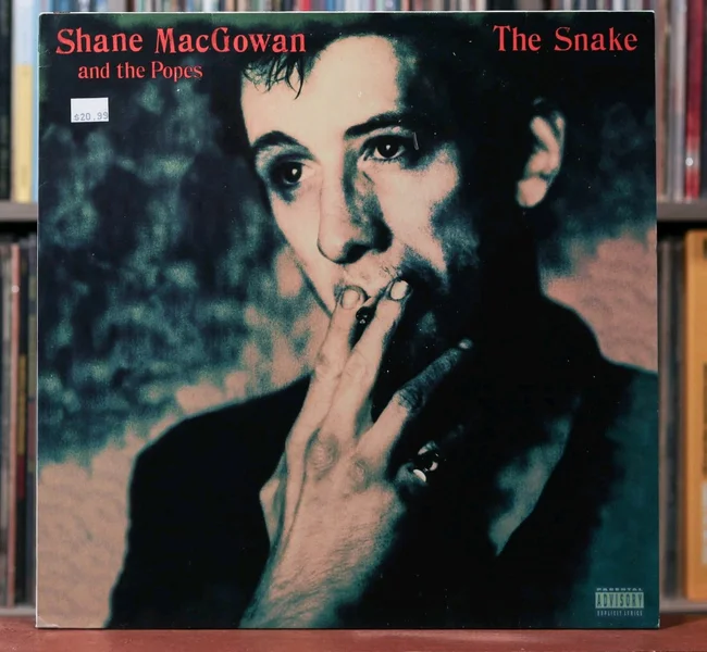 Shane MacGowan And The Popes - The Snake Shane MacGowan And The Popes - The Snake - Bild 1 av 1