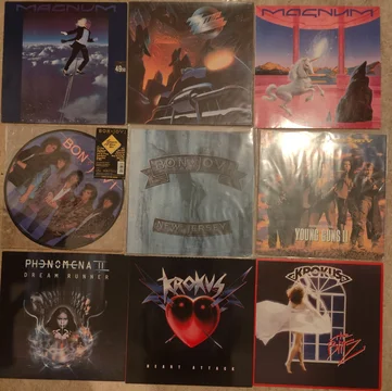 Vinylskivor x 53