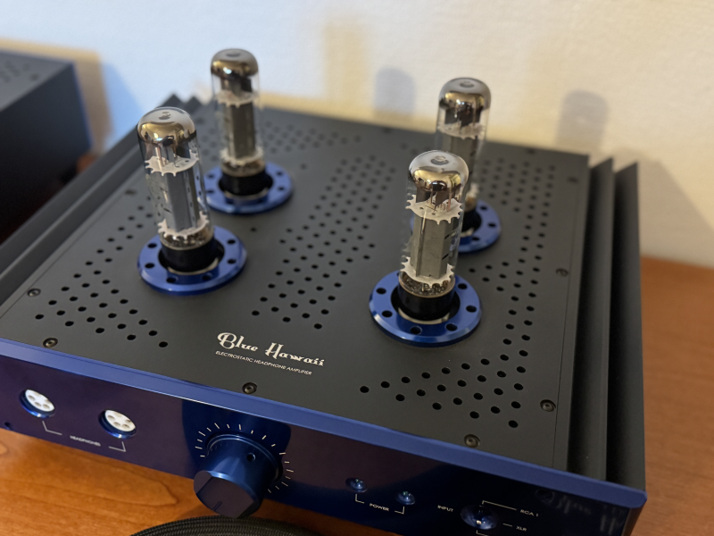 HeadAmp Blue Hawaii Special Edition BHSE RK50 elektrostat förstärkare - Bild 4 av 4