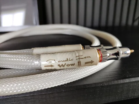 Acoustic Zen WOW !! RCA