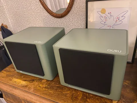 Guru Q10