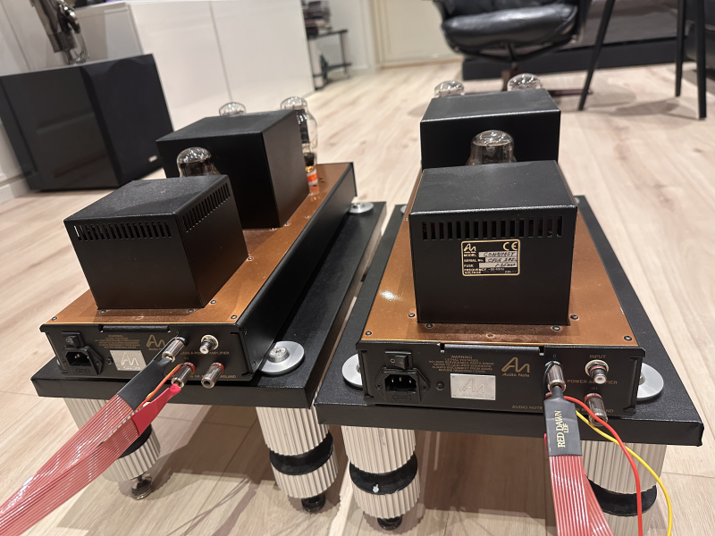 Audio note conquest monobloc 300b Audio note conquest monobloc 300b - Bild 6 av 6