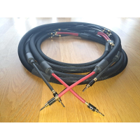 Speaker cables Purist Audio Design Neptune Bi-Wire, 2x2.4 m