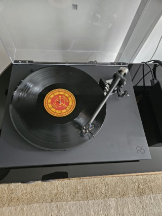 Rega P6 med Ania MC pickup