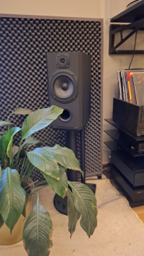 Ino Audio piP Signatur