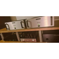 Audio Research Vtm120se rör mono slutsteg